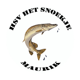 Website Logo