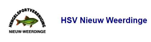 Website Logo