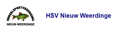 Website Logo