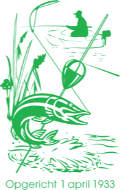 Website Logo