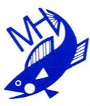 Website Logo