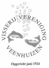 Website Logo