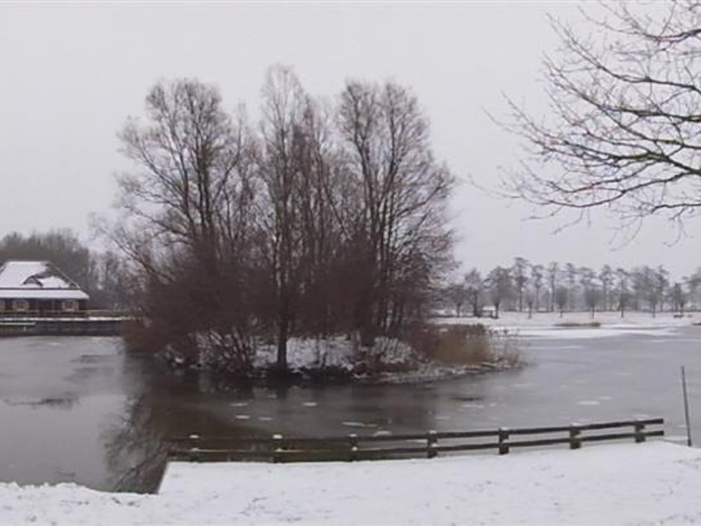 deleewinter