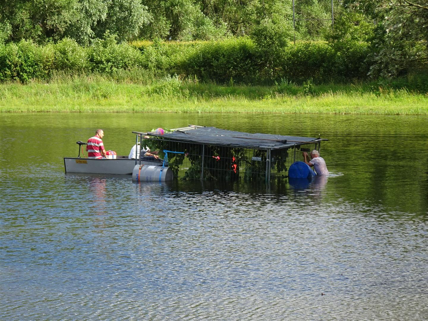 viskooi