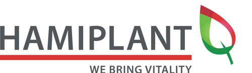 Hamiplant