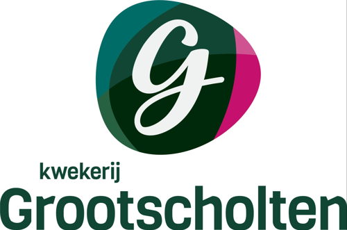 Kwekerij Grootscholten