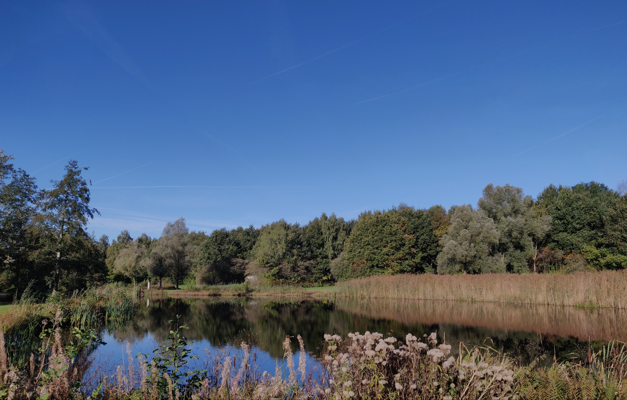 Naturistenterrein Bargerhoek — photo 3