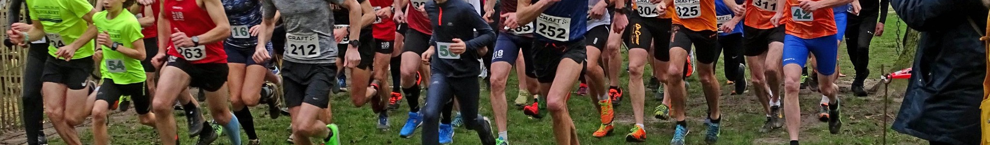 Bespaarpartner cross 300px.png