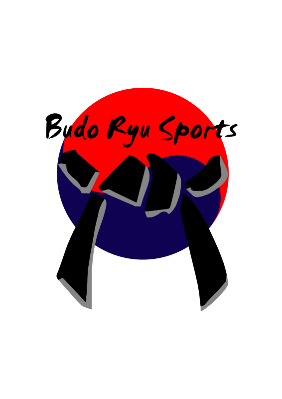 Budo Ryu Sports