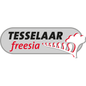 Tesselaar Freesia