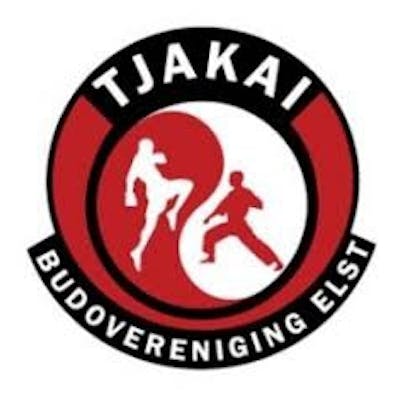 Budo Vereniging Elst