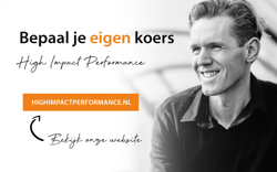 Goudsbloemen De Vries