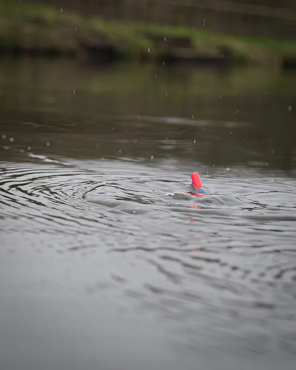 Dutch Float Fishing Championship