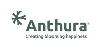 Anthura