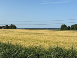 Mooie route met fijne wegen - dag 2 Skate4daagse