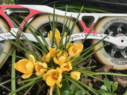 Nieuwe seizoen bijna van start