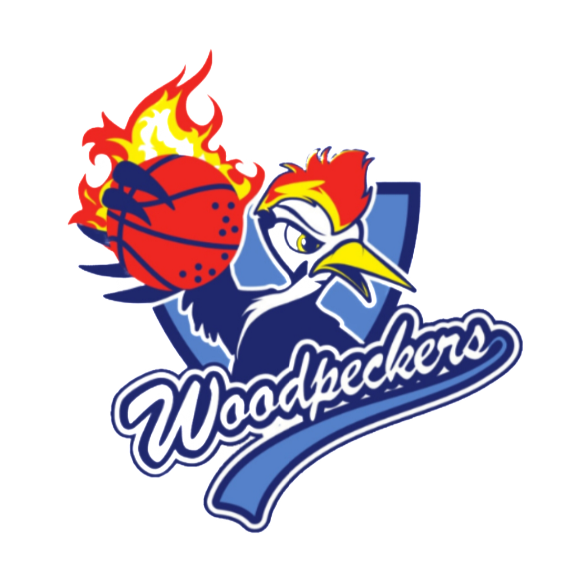 Website Logo