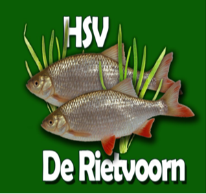Website Logo