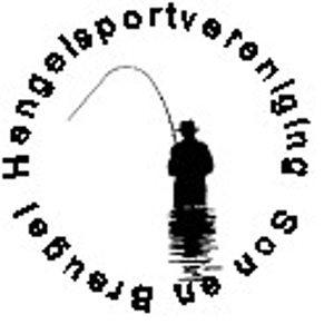 Website Logo