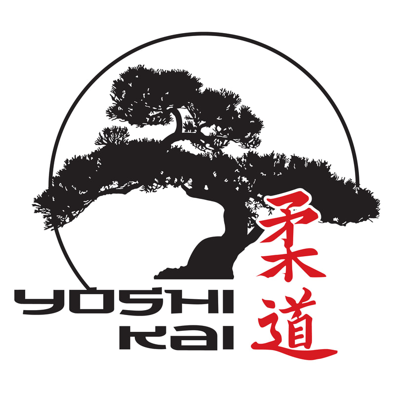Yoshi Kai