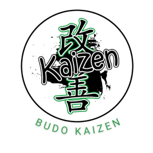 Budo Kaizen