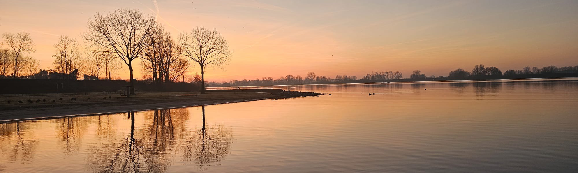 WhatsApp Image 2026-01-21 at 16.00.22.jpeg